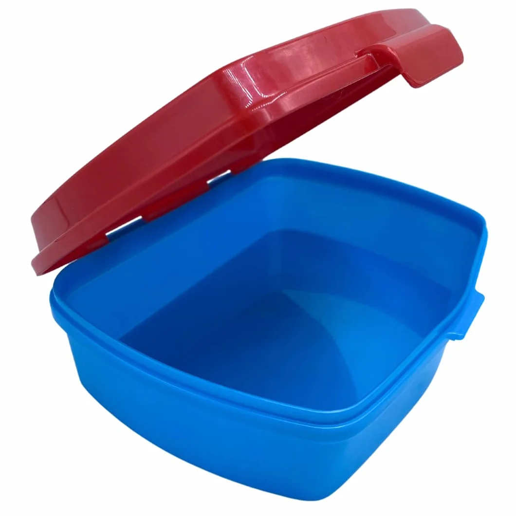 Pokemon Boîte à Déjeuner pour Enfants, Lunchbox Portable 18x5x13 CM