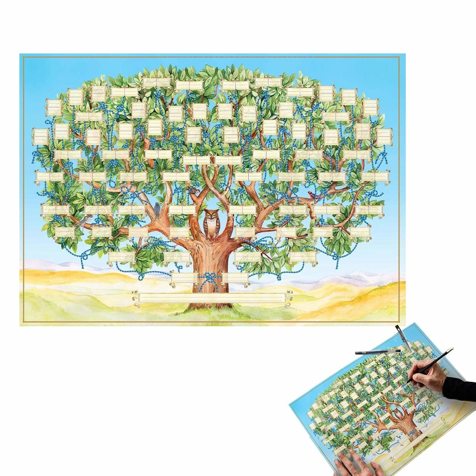 Tableau Arbre Généalogique 40x60cm Poster à Remplir