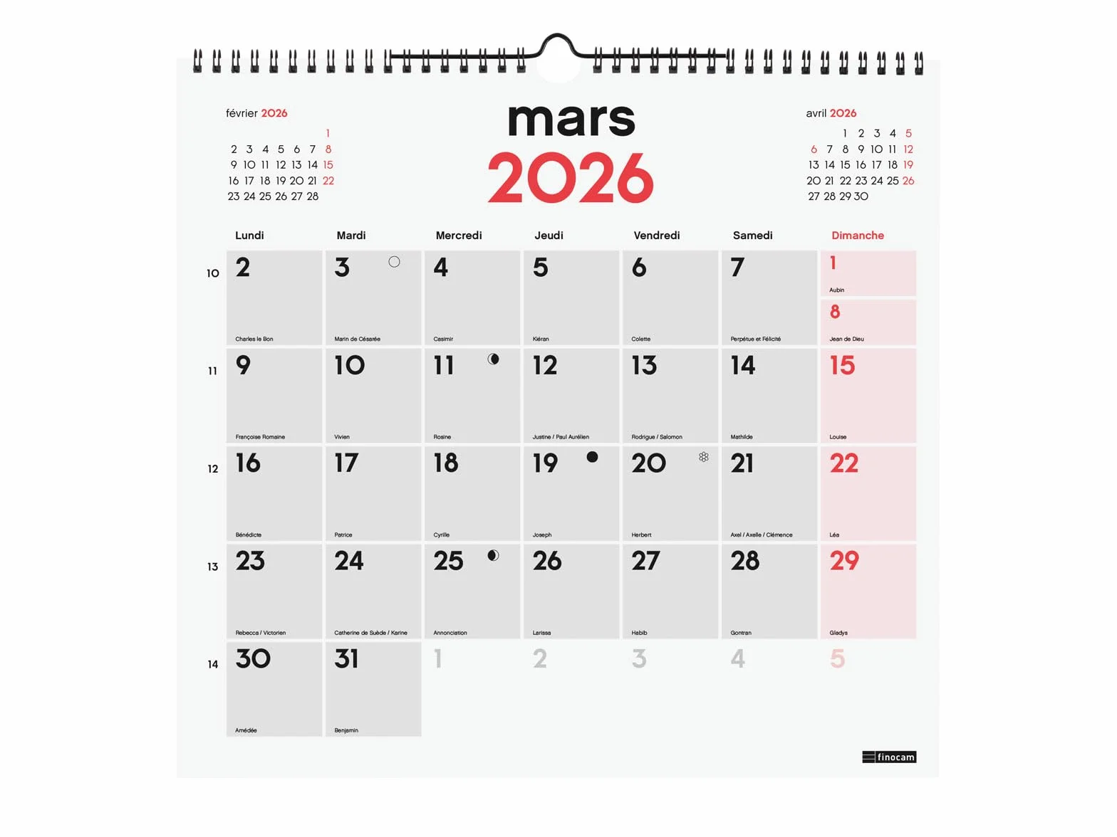 Calendrier mural 2026 1 mois par page Janvier-Décembre | Planificateur mensuel Neutre Français