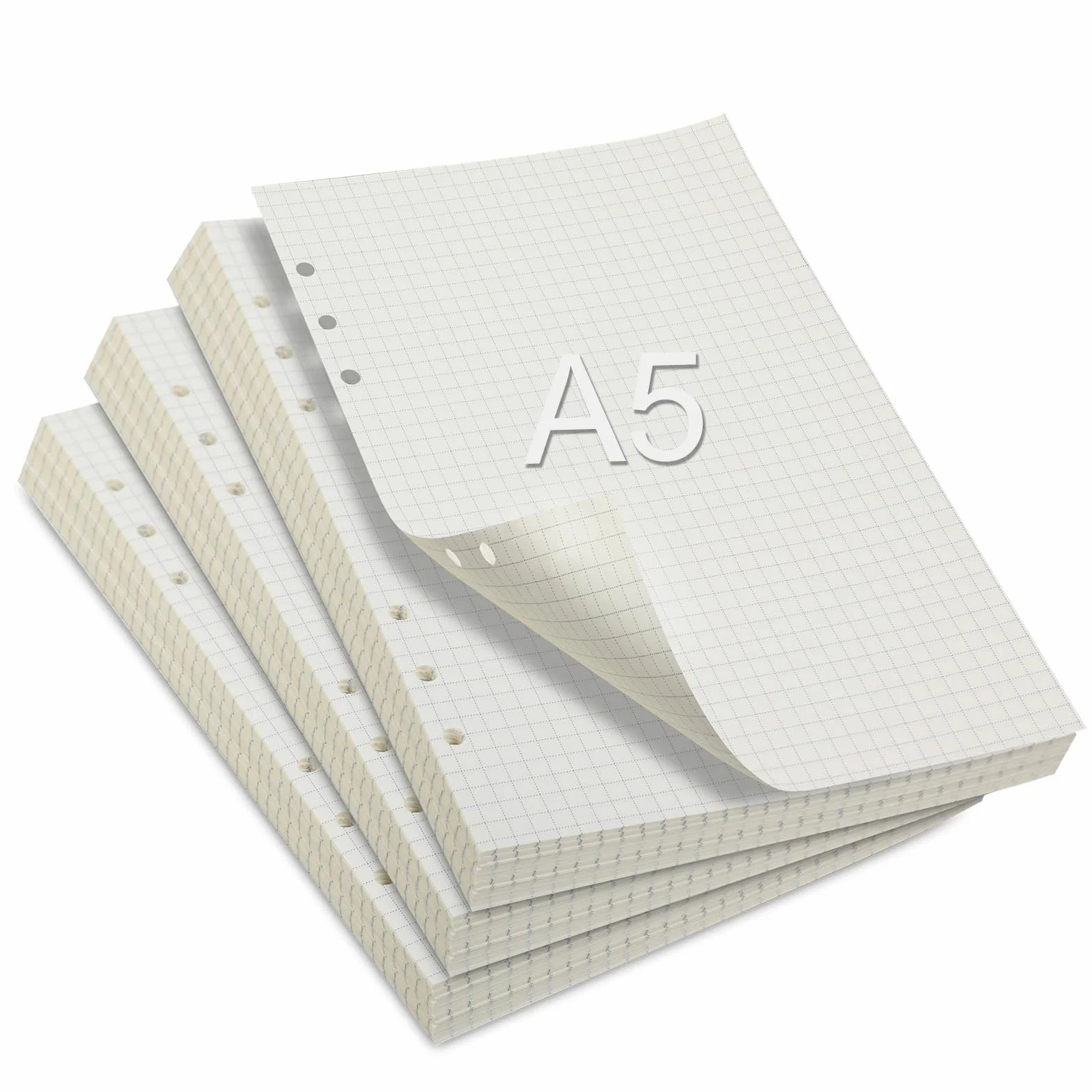 Feuilles A5 Grands Carreaux 180 Feuilles Papier A5 Copies Doubles Perforées Recharges pour Agendas