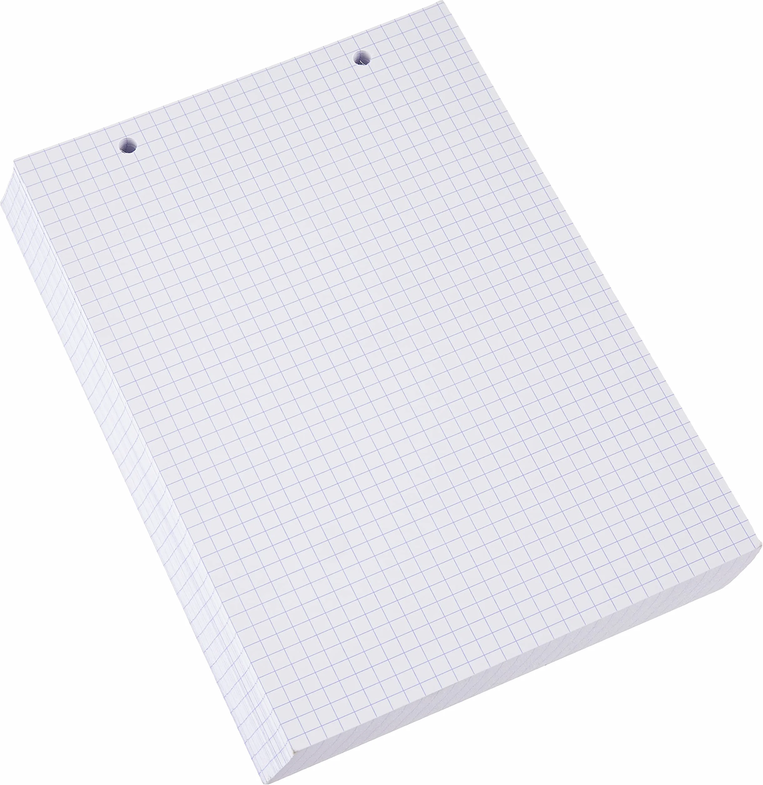 Exacompta Fiches Bristol Quadrillées 5x5 Perforées 148x210 mm Blanc 100 Pièces