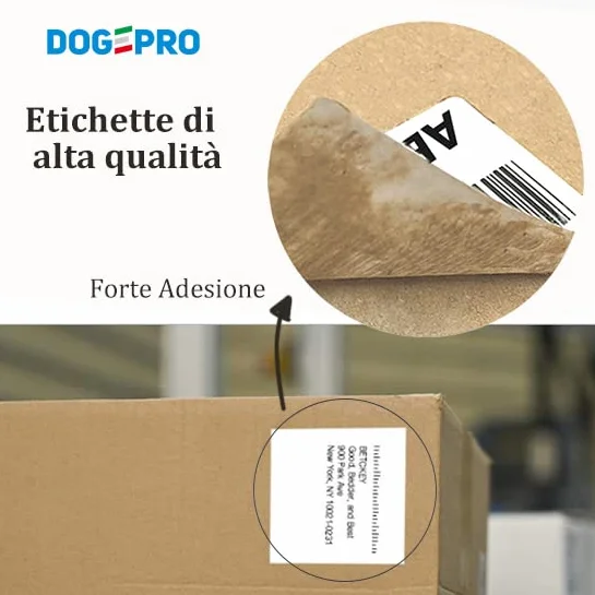Étiquettes continues compatibles Brother P-Touch 62 mm x 30,48 m pour QL1050 QL1060N QL500 QL560VP QL570 QL580 QL700 QL710W QL800 QL810W