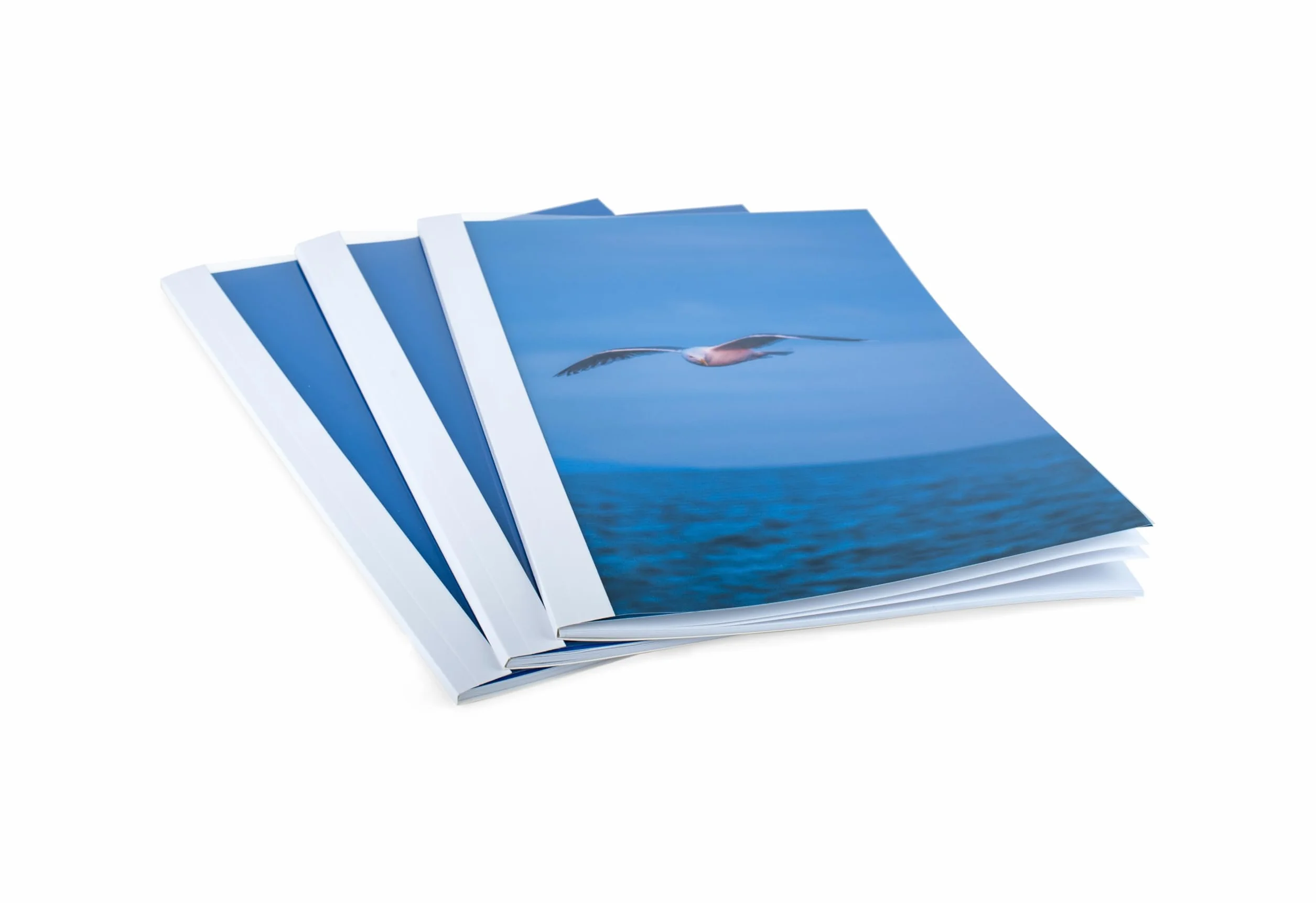 Pavo Couverture thermique A4-1.5 mm transparent/blanc par 100
