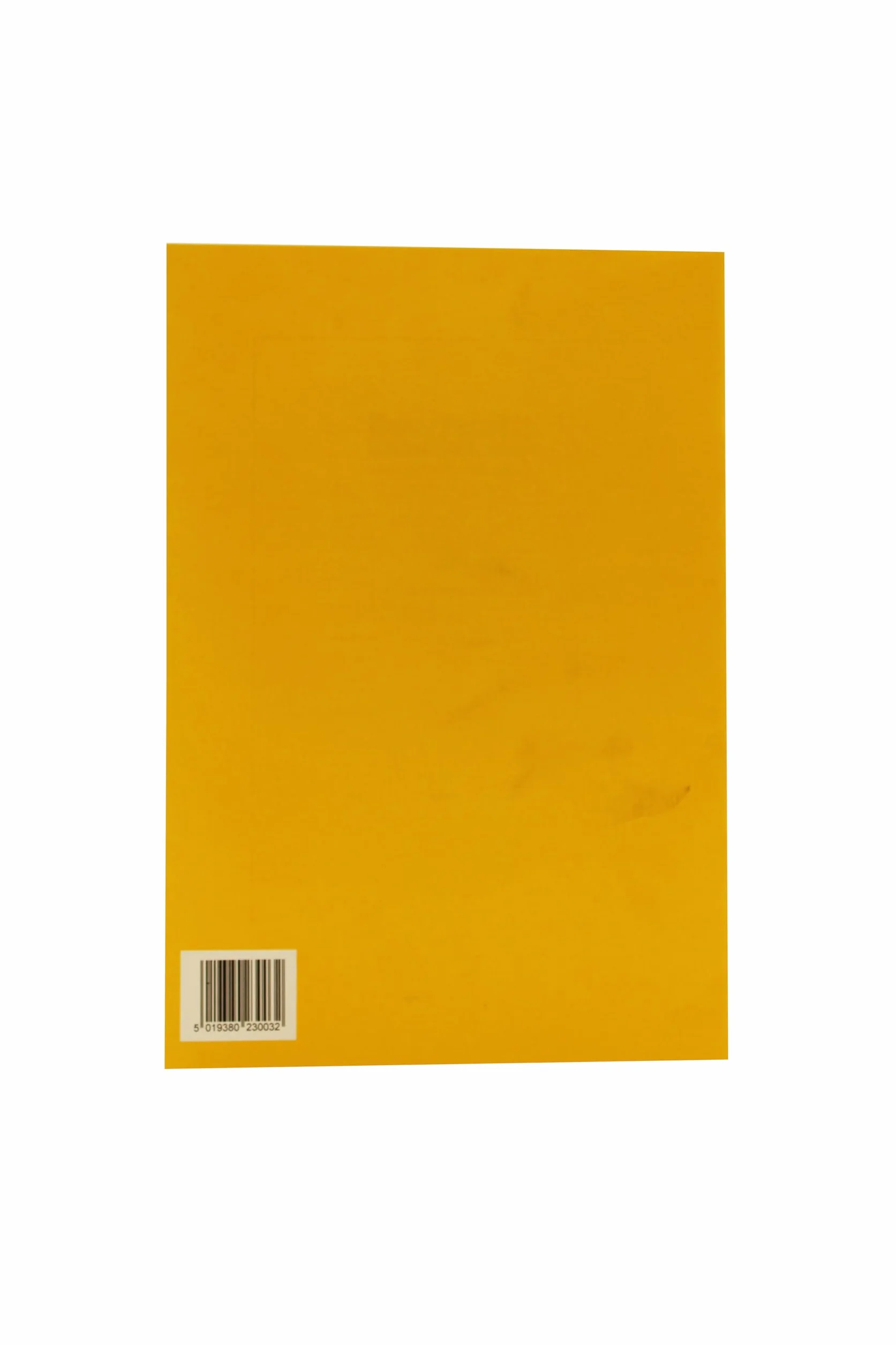 Clairefontaine Chartwell Carnet technique de laboratoire A4 297x210 mm quadrillage 5 mm 80 pages 70 g/m² Jaune