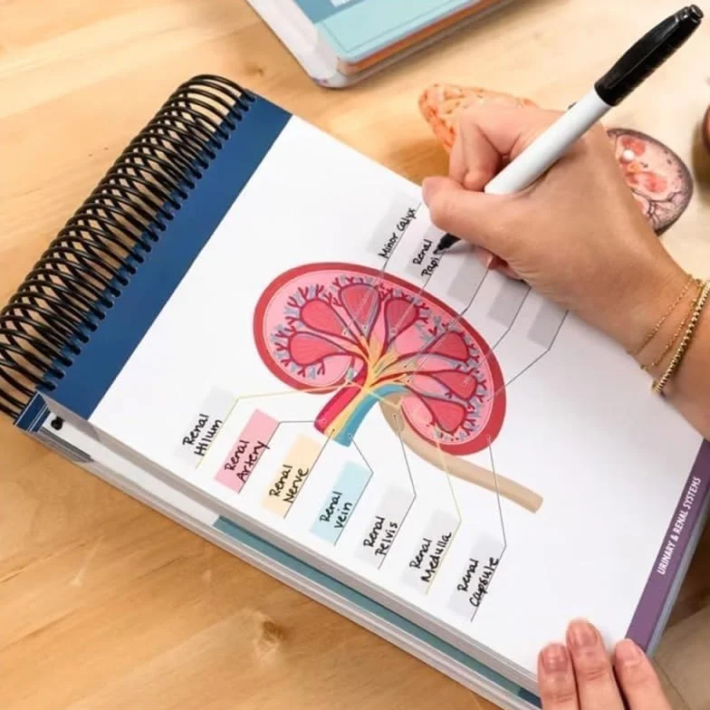 Cahier d'exercices de laboratoire d'anatomie - Anatomie humaine - Plus de 100 pages effaçables à sec, outils d'étude de physiologie
