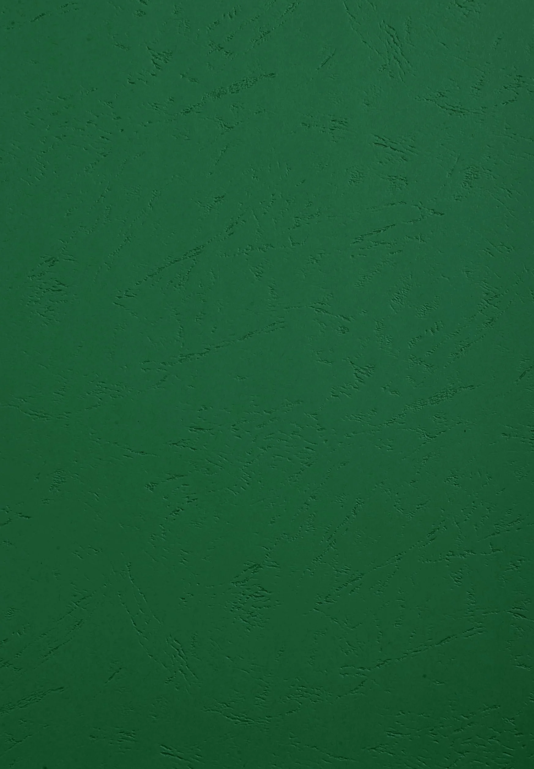 Forever A4 270 g/m² Grain Cuir à anneaux Coque Vert foncé lot de 100