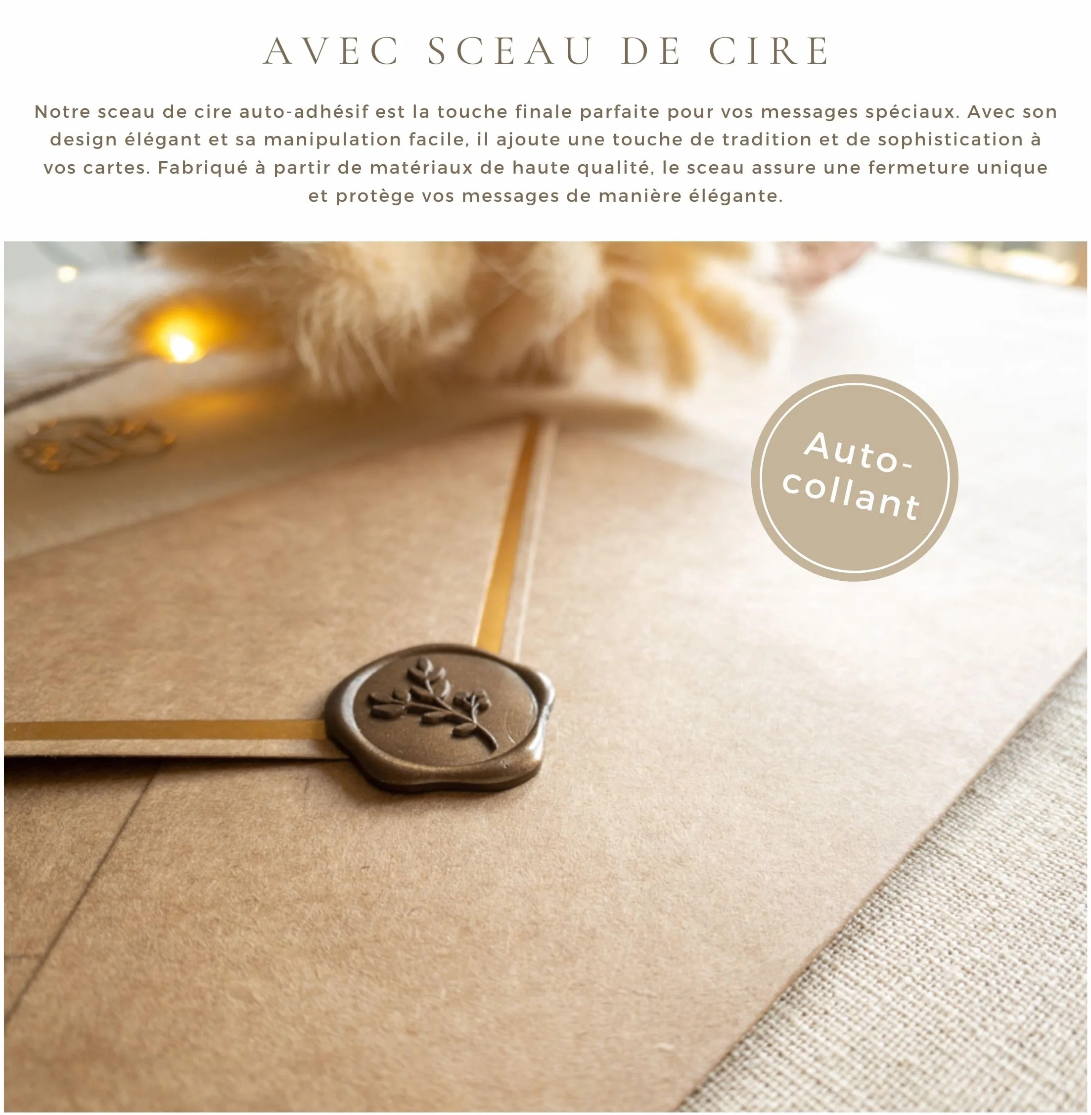 Carte de mariage Joli Coon Heureux Mariage Originale avec enveloppe A6