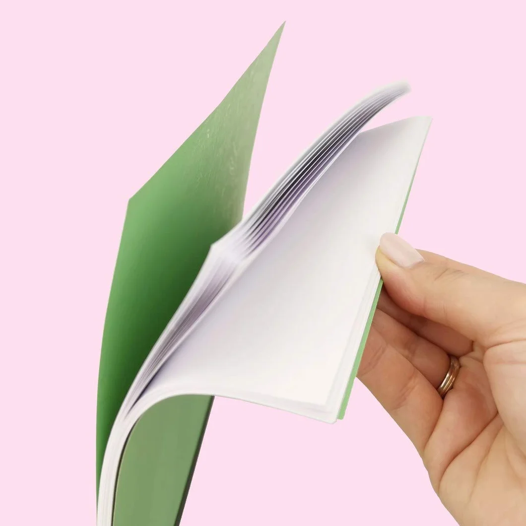 D.RECT Lot 100 feuilles imitation cuir A4 Vert