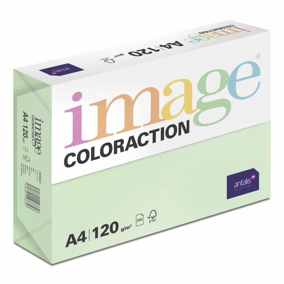 Papier de couleur Vert Forest 120 g/m² A4 Ramette 250 feuilles