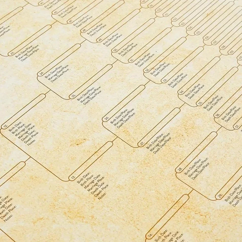 Tableau généalogique 8 générations à remplir vierge