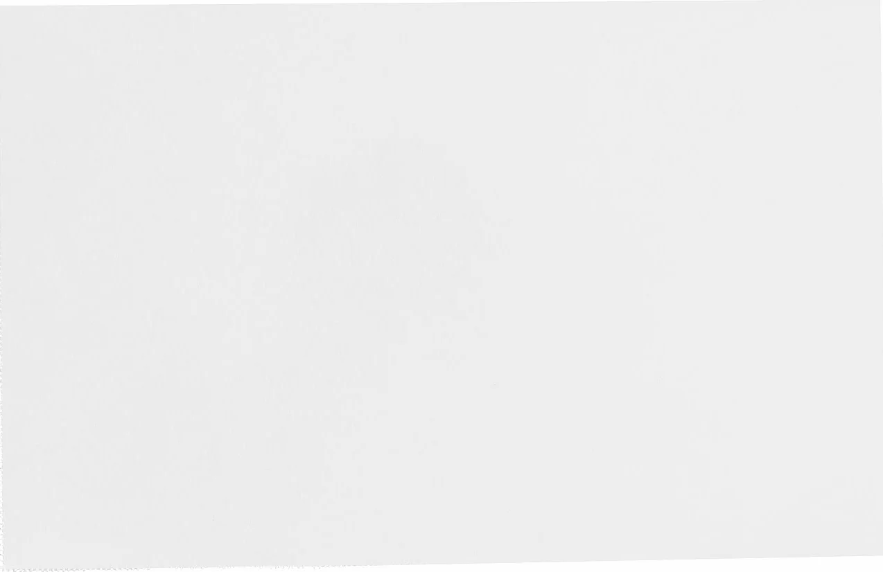 Sattleford 250 cartes de visites prédécoupées - 250 G
