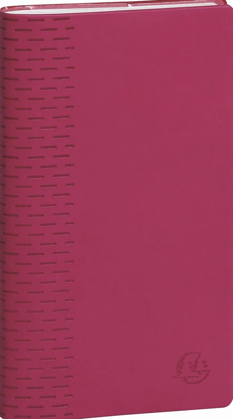 Exacompta Agenda Semainier SAS 17 Winner Septembre 2026 Août 2027 9 x 17,5 cm