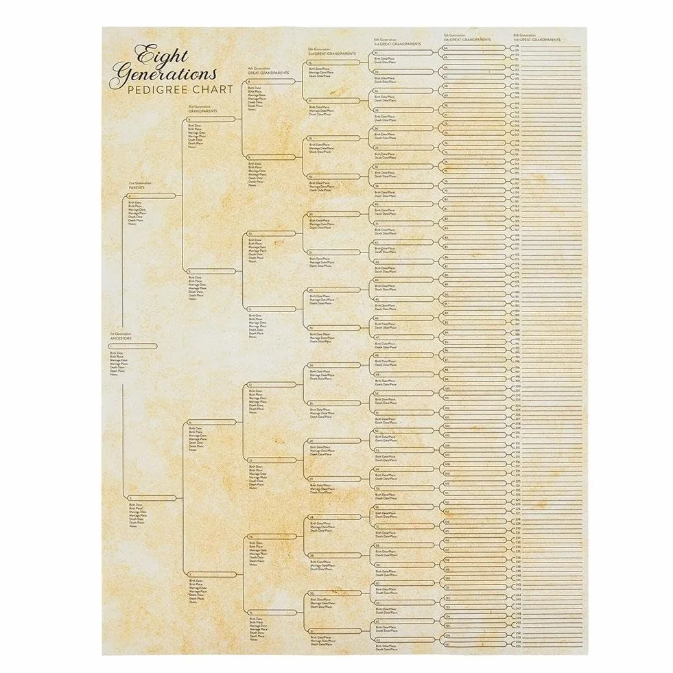 Tableau généalogique 8 générations à remplir vierge
