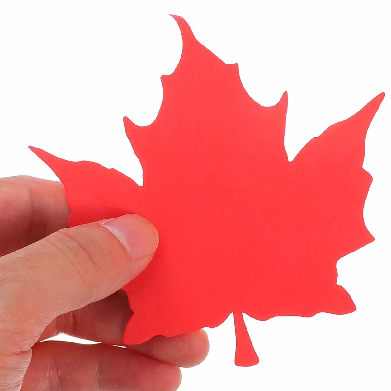 50 Cartes Message Feuilles Érable Découpées Main Papier Déco Automne Thanksgiving Fête Diy