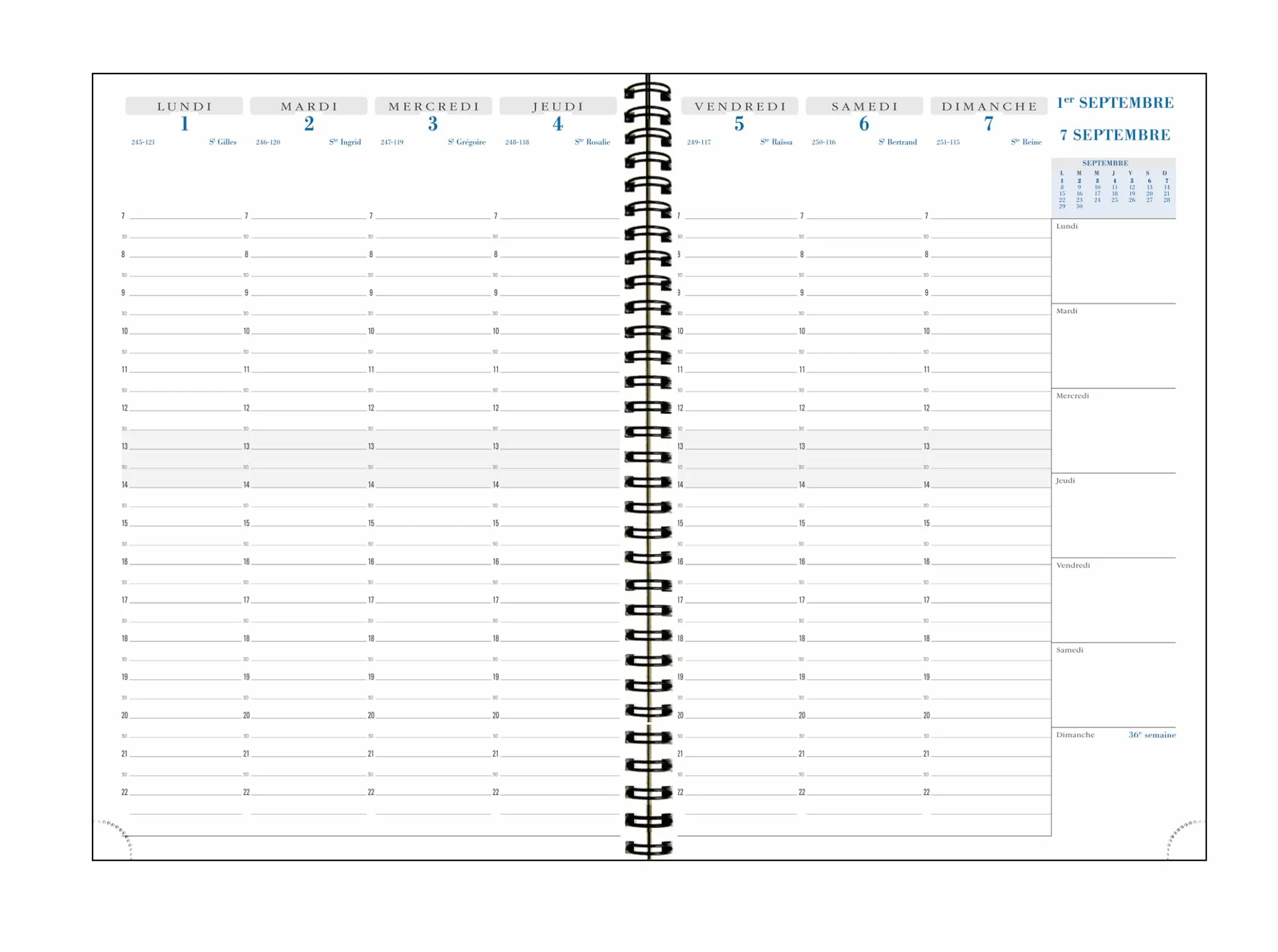 Exacompta Agenda semainier de bureau SAD 29S Gustave 21 x 29,7 cm Septembre 2026 à décembre 2027 16 mois Marine/Grège