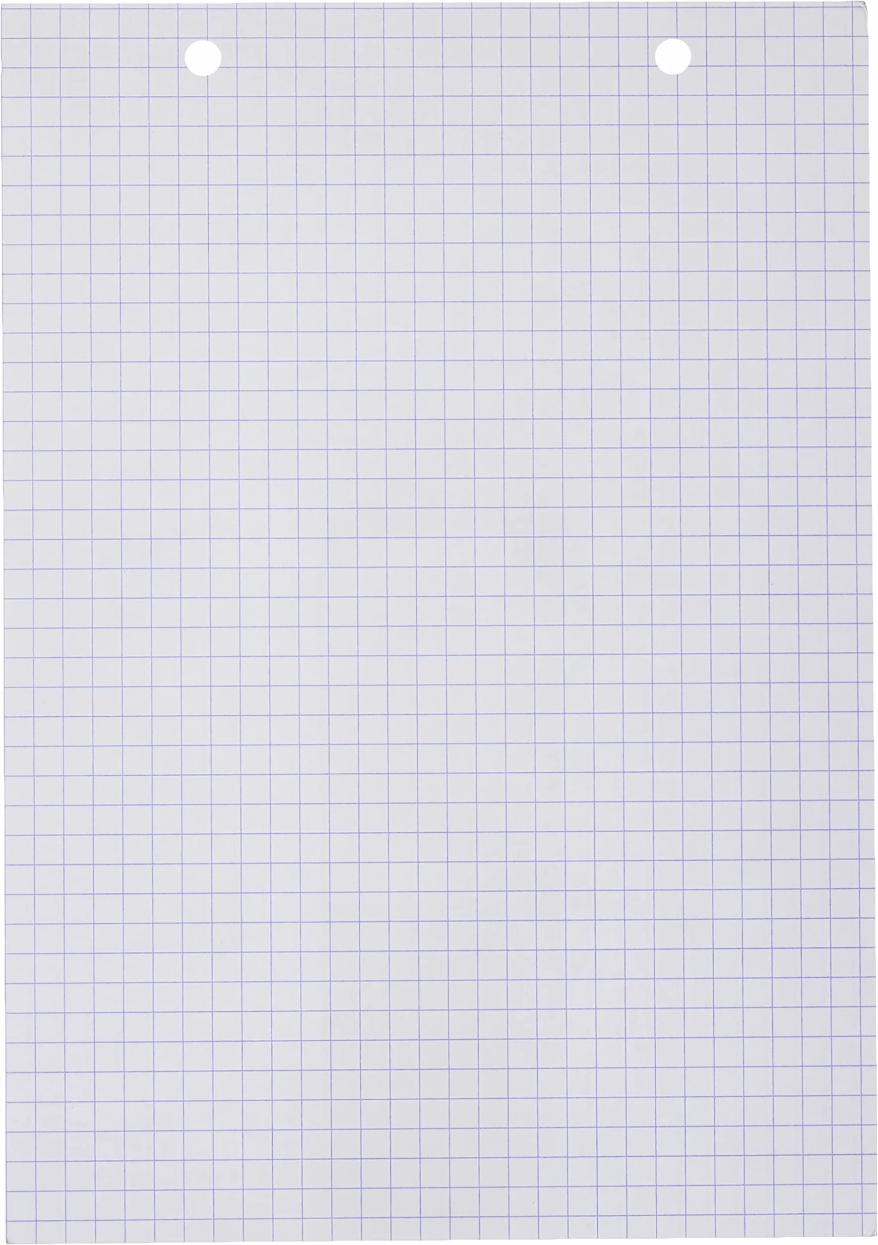 Exacompta Fiches Bristol Quadrillées 5x5 Perforées 148x210 mm Blanc 100 Pièces