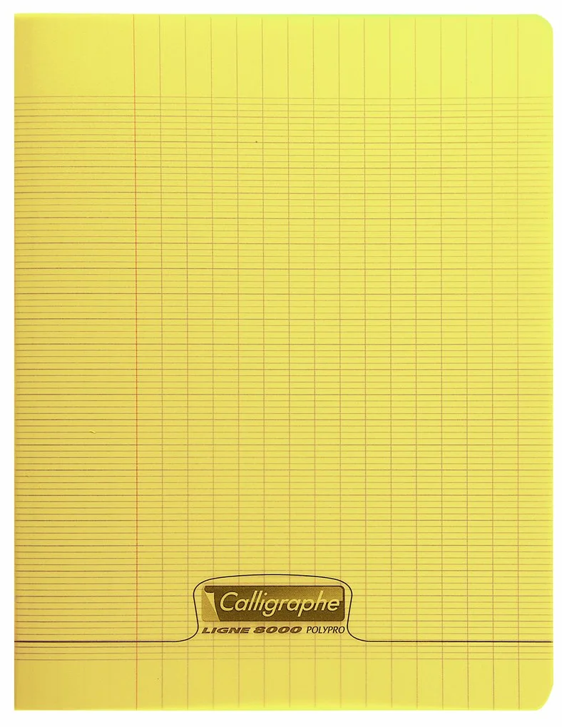 Calligraphe 18060AMZC Lot de 9 Cahiers Agrafés 24x32 cm 48 Pages Grands Carreaux Papier Blanc 90 g Couverture Polypro