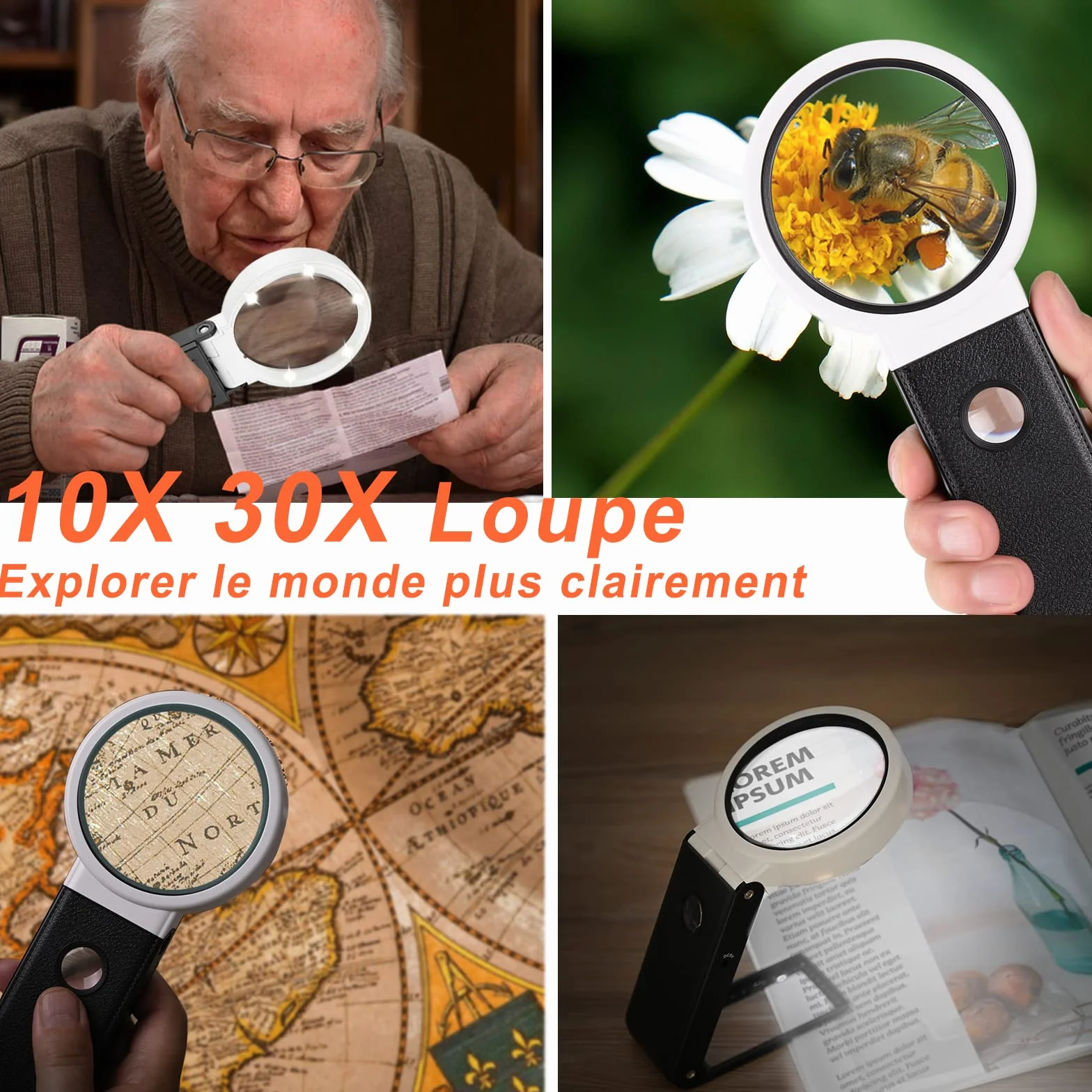 Grande Loupe 10X 30X LED Portable avec Lumière et Support