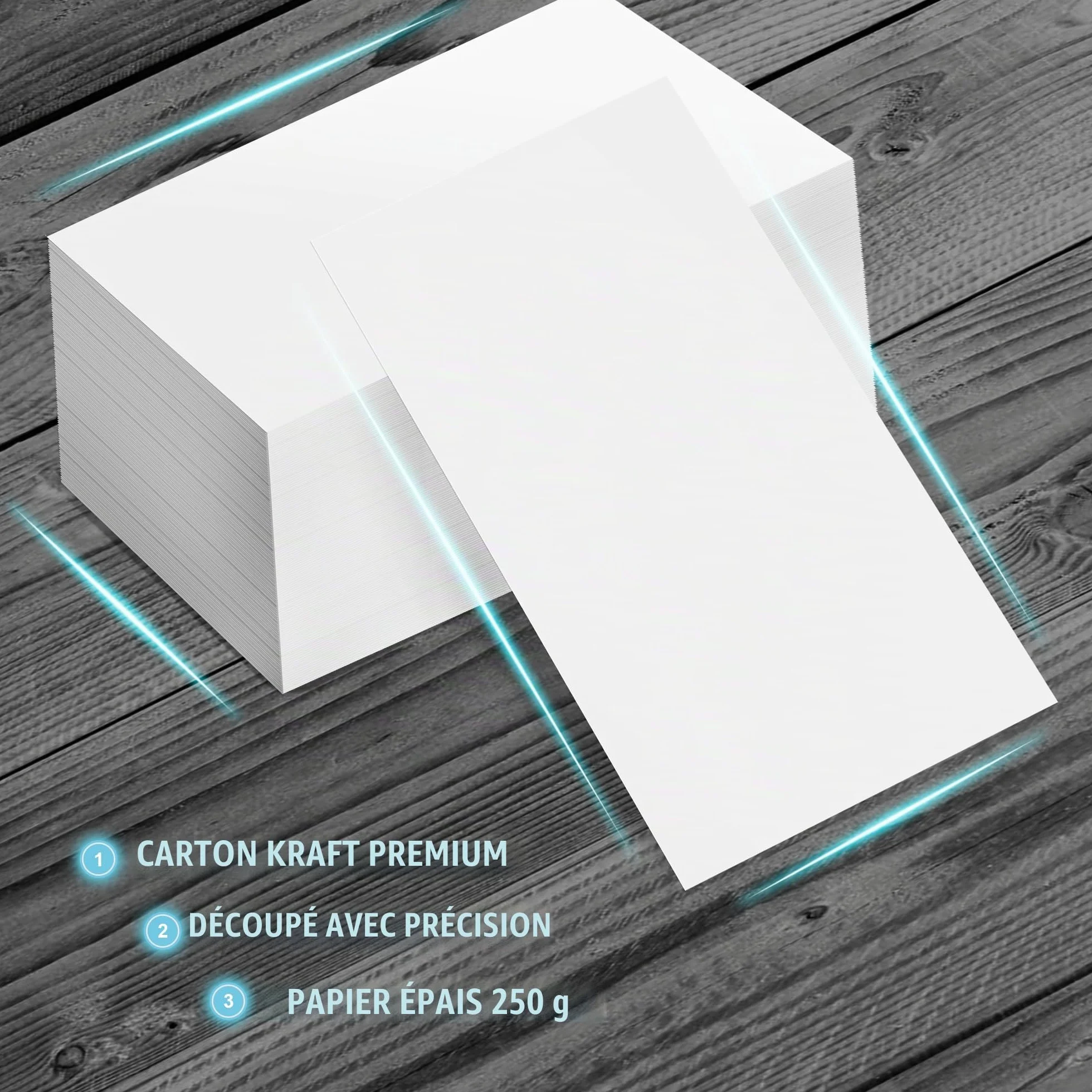 Cartes de visite vierges 88 x 55 mm 250 g/m² Lot de 100