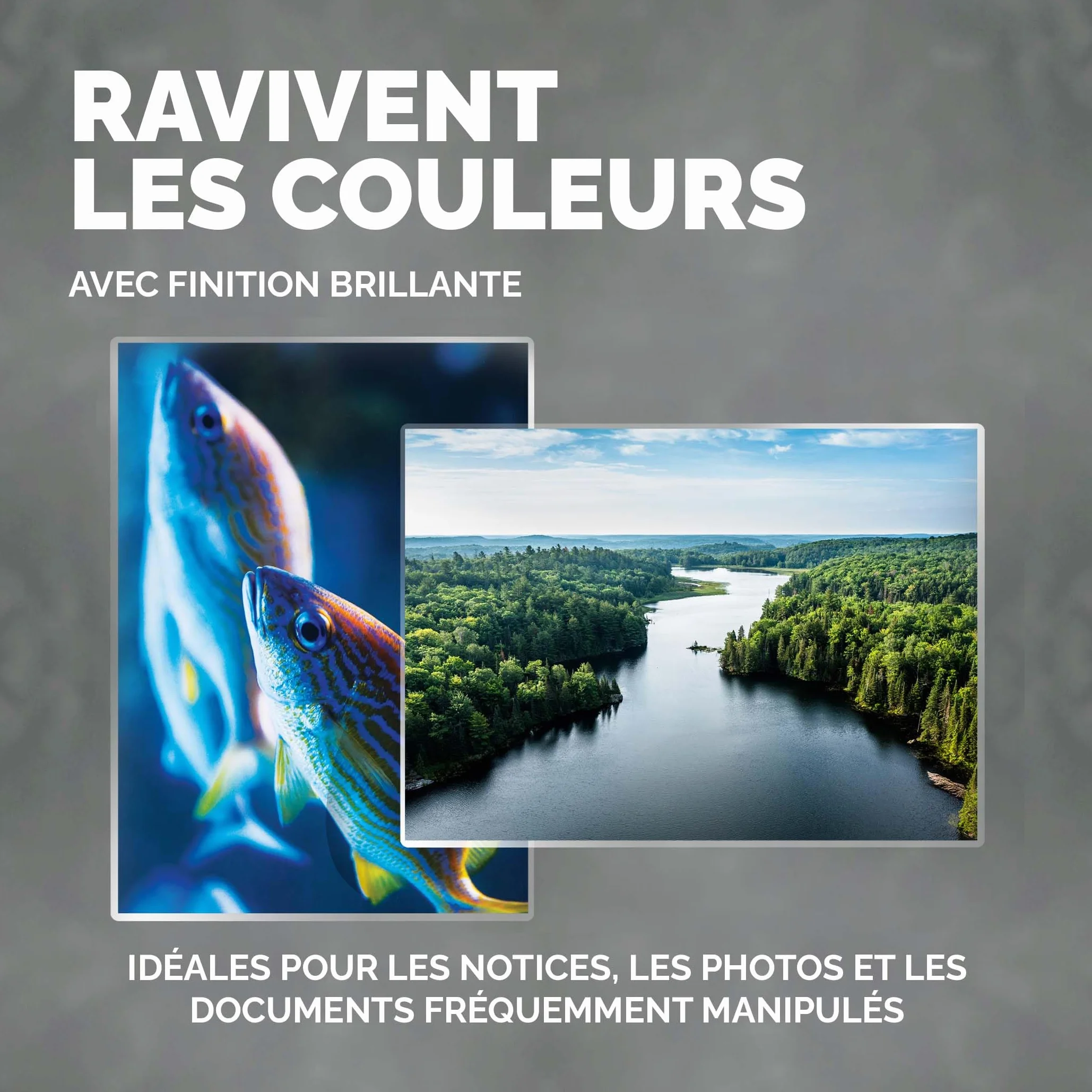 Fellowes Pochette De Plastification A4 80 microns Pack 100 Feuilles Plastifieuse Technologie ImageLast Finition Brillante