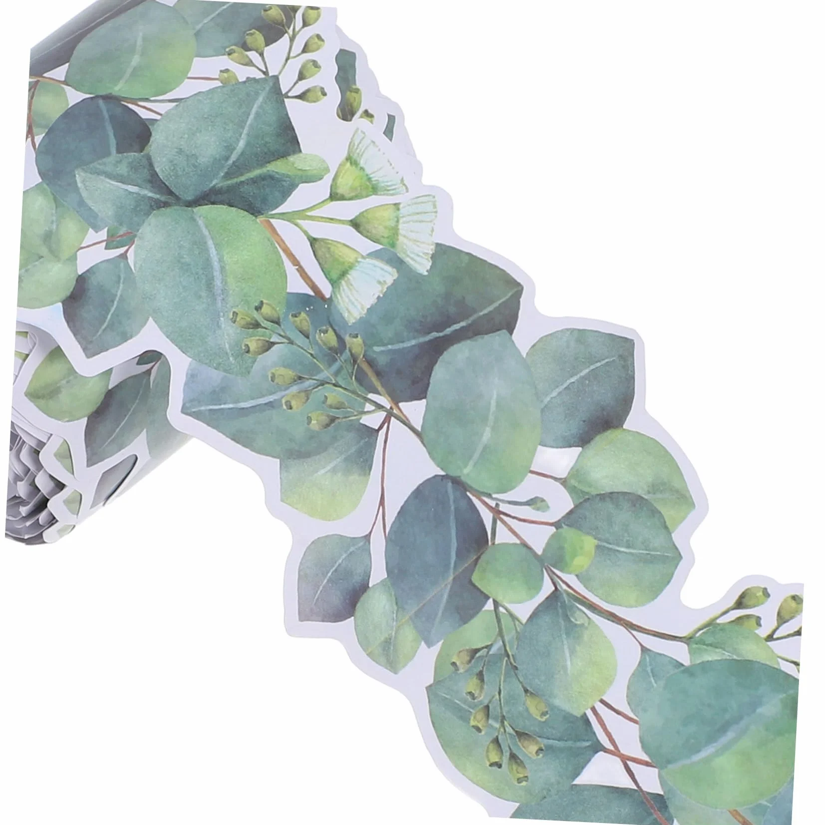 Bordure Décorative Tableau Éucalyptus Autocollant Adhésif Mur Rouleau 1 Mètre Décoration Murale Naturelle