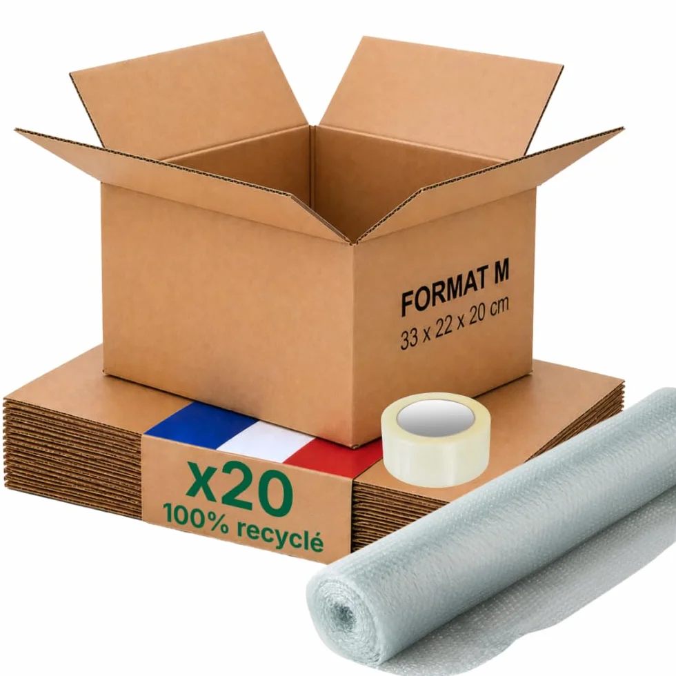Caisse carton emballage renforcé 31 x 22 x 20 cm Lot de 20 Life Pack