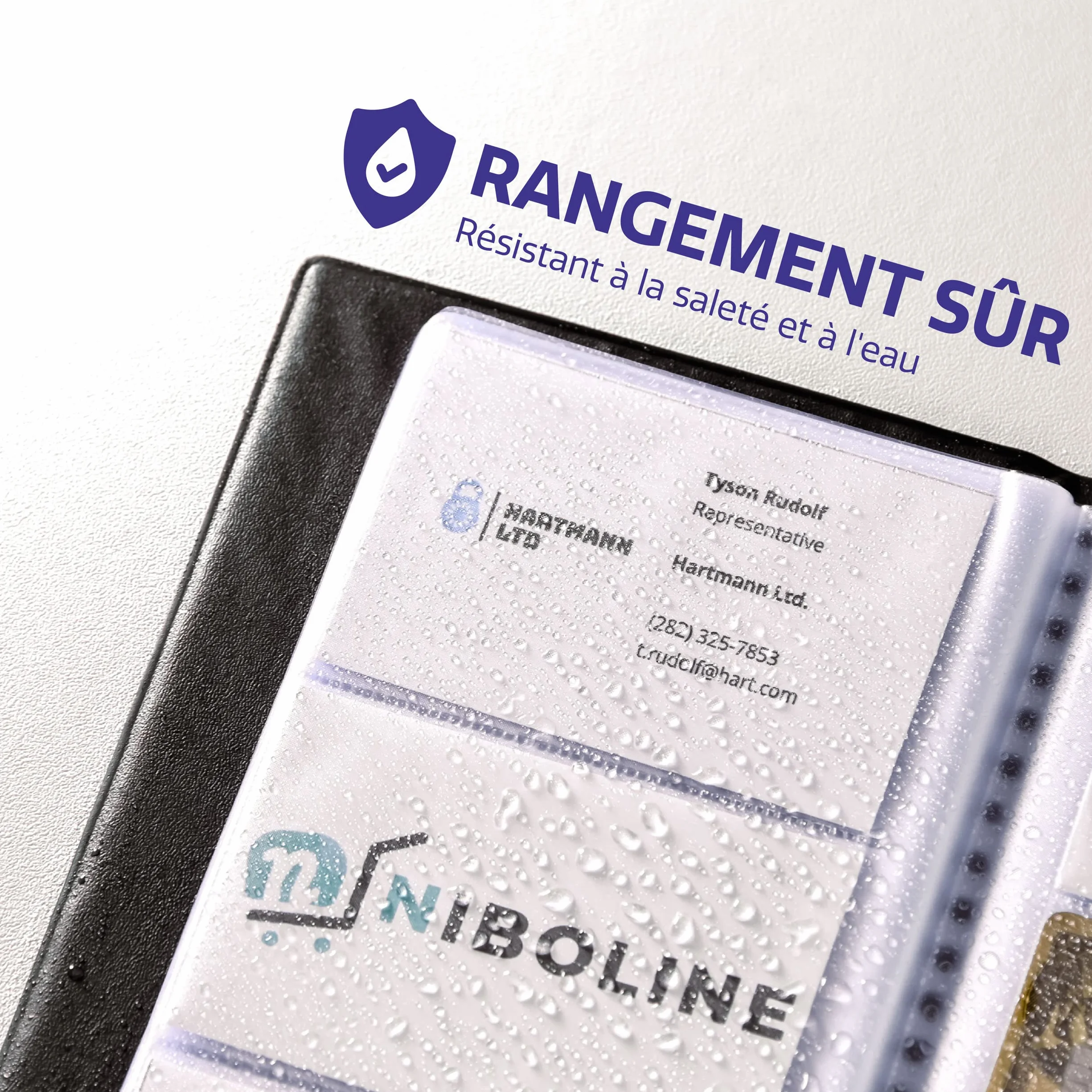 Praknu Porte Cartes de Visite pour 480 Cartes - Rangement Carte de Visite Transparent Professionnel
