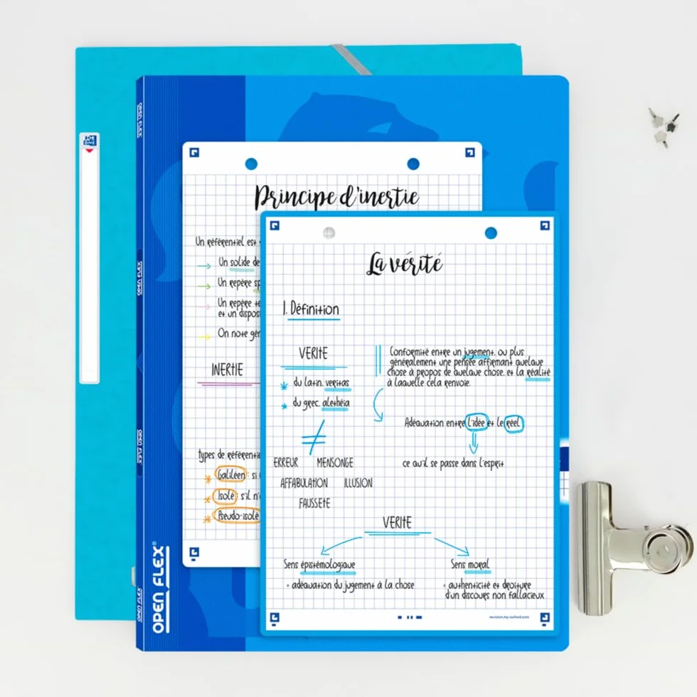 OXFORD Lot de 50 Fiches bristol A5 petits carreaux Recto/Verso Couleurs Assorties