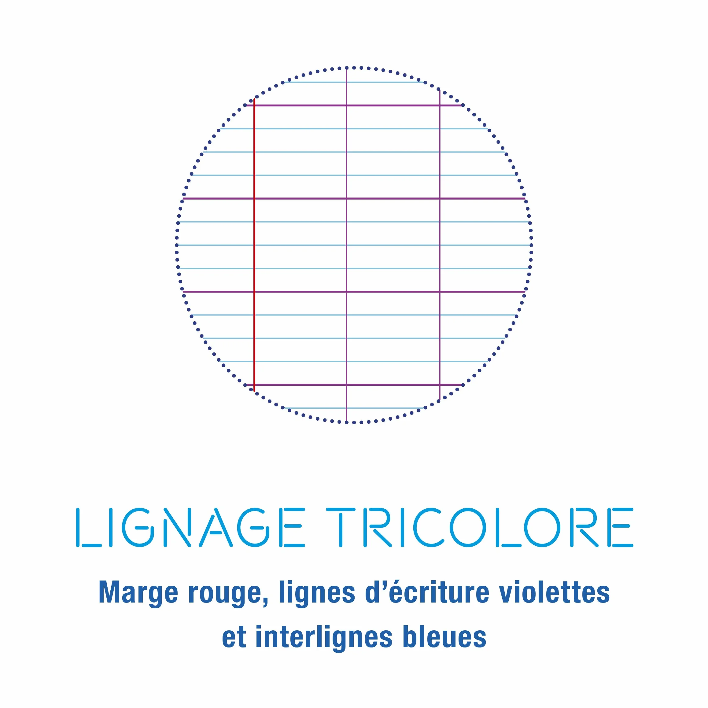 ClaireFontaine Lot de 9 Cahiers Agrafés Mimesys 24x32 cm 96 Pages Grands Carreaux 90 g Couvertures Polypro Assorties