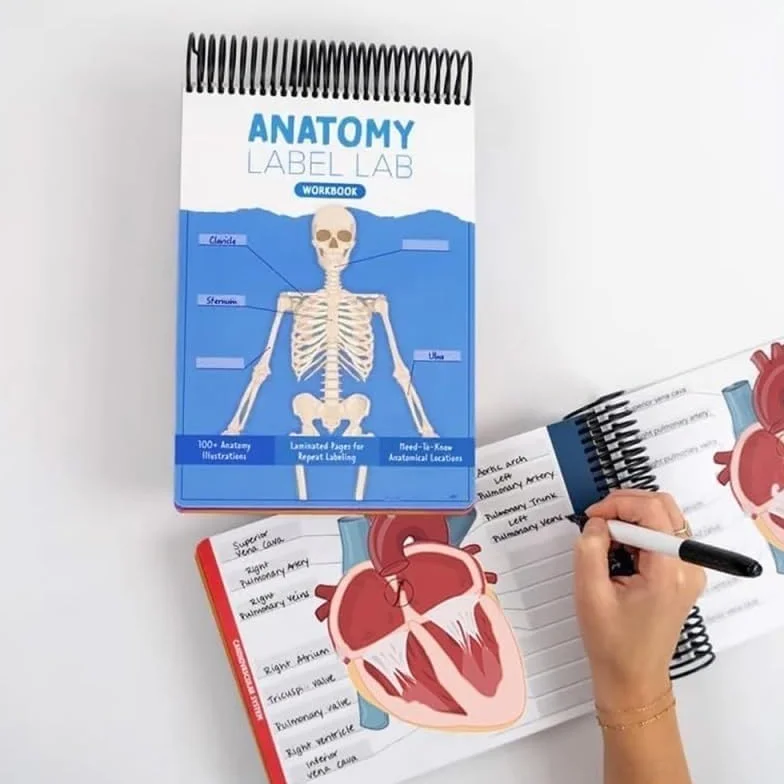 Cahier d'exercices de laboratoire d'anatomie - Anatomie humaine - Plus de 100 pages effaçables à sec, outils d'étude de physiologie