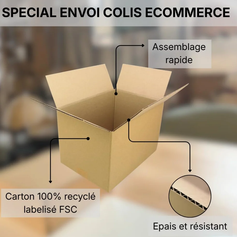Caisse carton emballage renforcé 31 x 22 x 20 cm Lot de 20 Life Pack