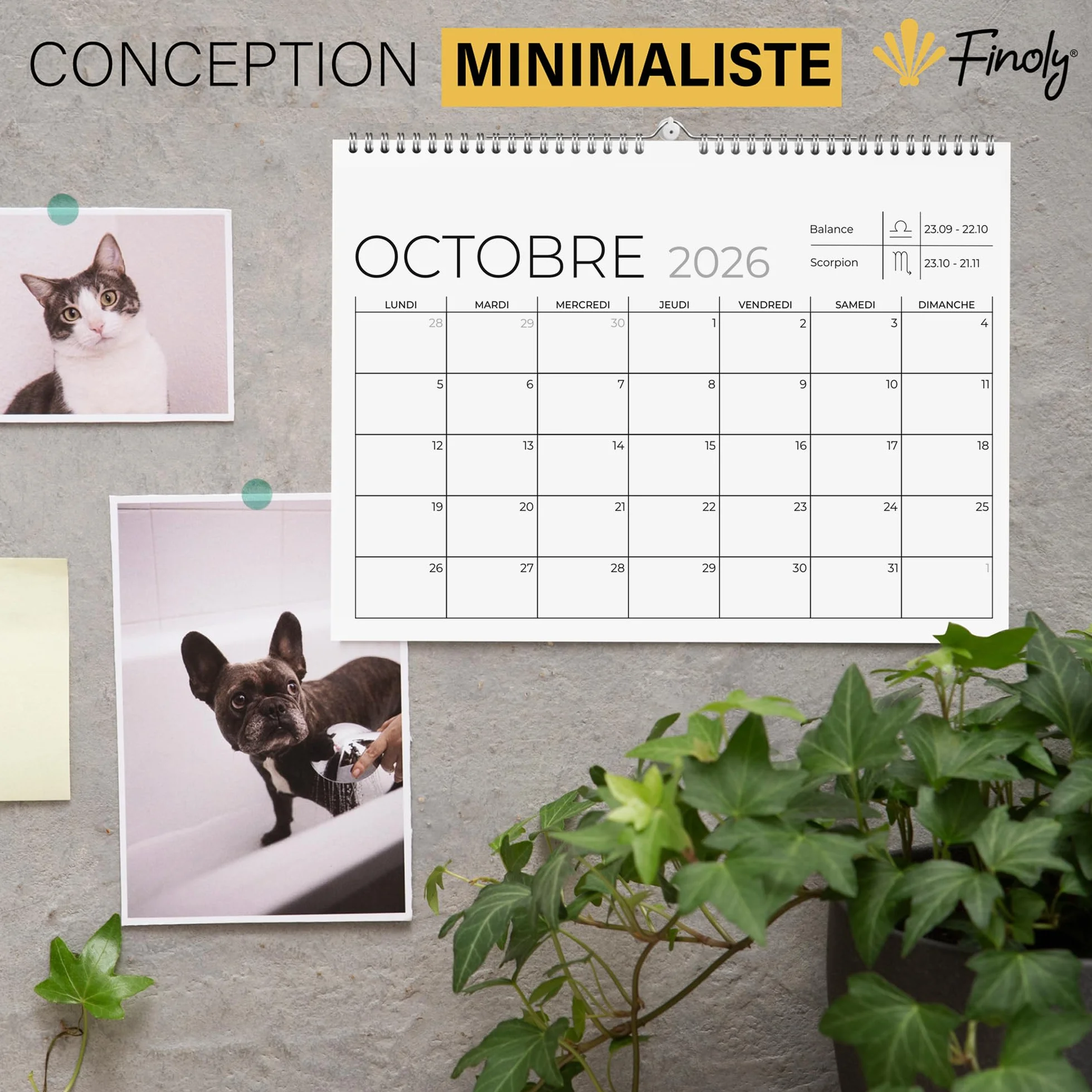 Calendrier Mural 2026 18 Mois Janvier 2026 Juin 2027 en Français 30x21 cm