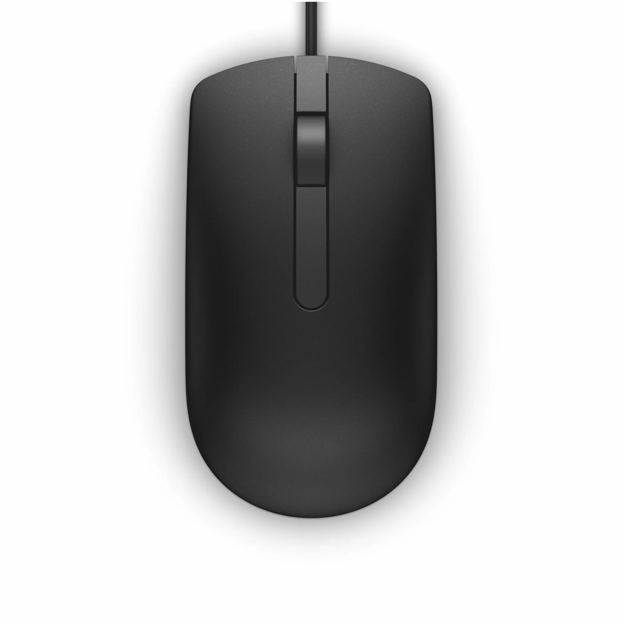 Dell MS116 Souris Optique Noir