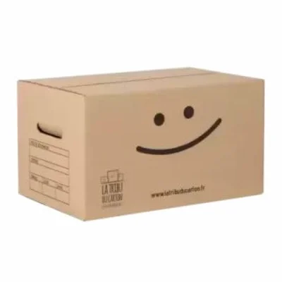 LA TRIBU DU CARTON Kit 10 cartons standard avec poignées