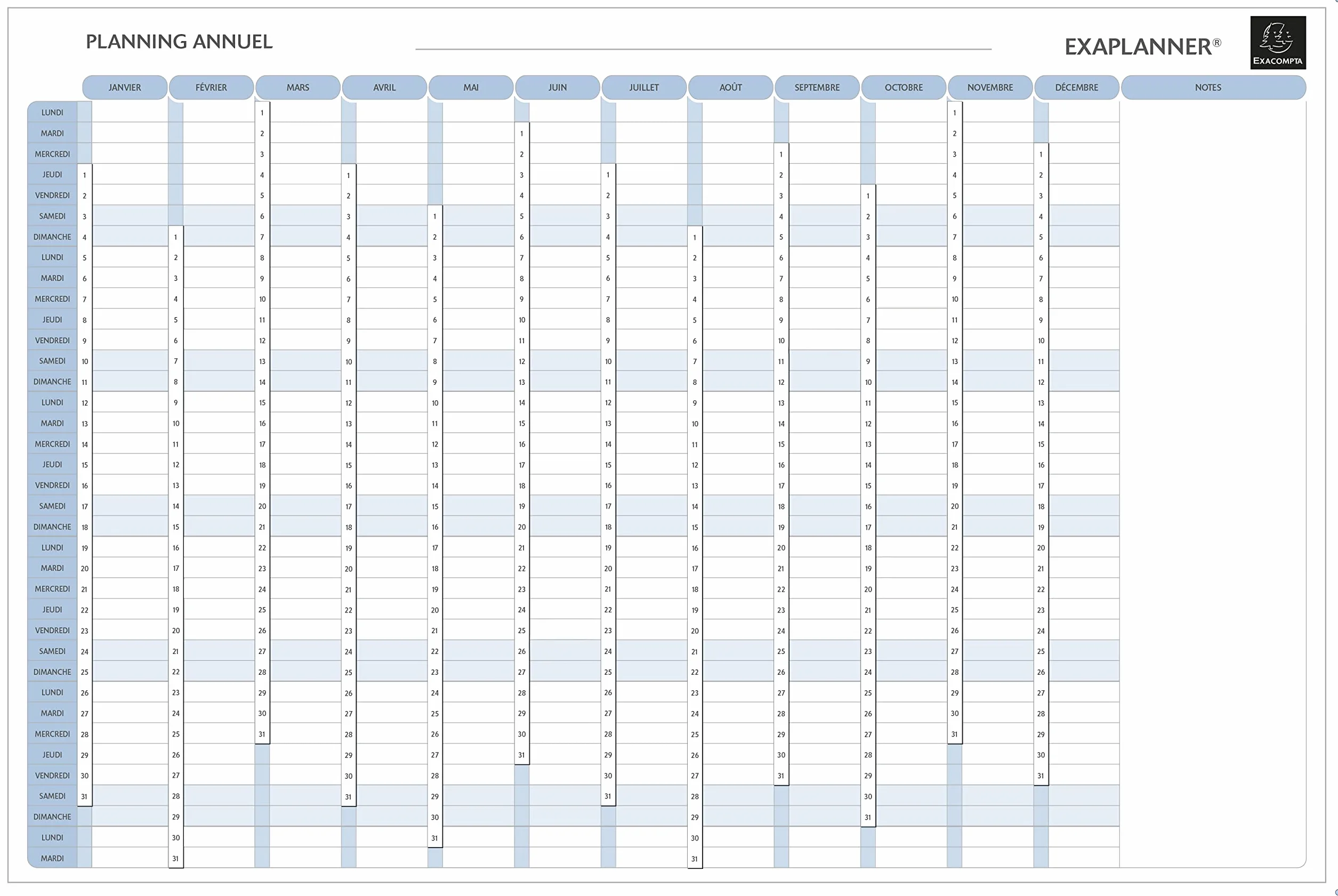EXACOMPTA Planning annuel magnétique 90x59cm kit