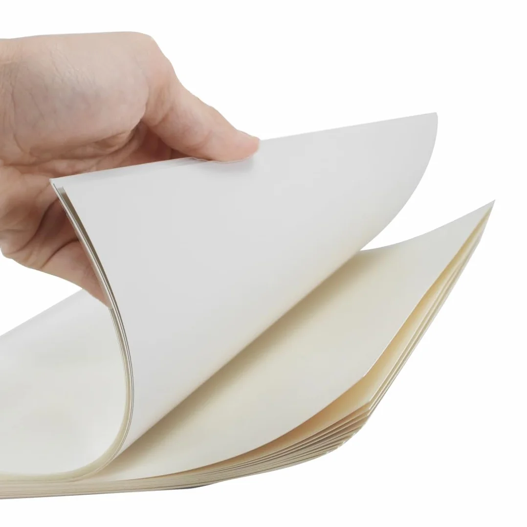 RAYSON Couvertures de Reliure Thermique A4 100 Feuilles 12 mm Blanc Paquet de 25