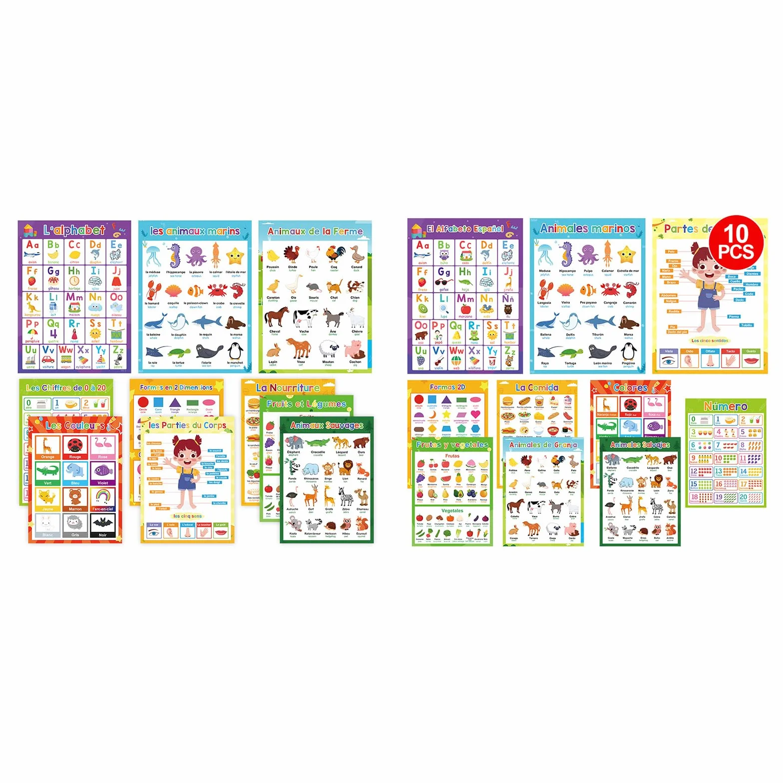 Affiches éducatives vocabulaire 29 x 21 cm Lot de 10 Décoration murale salle de classe enfants préscolaire
