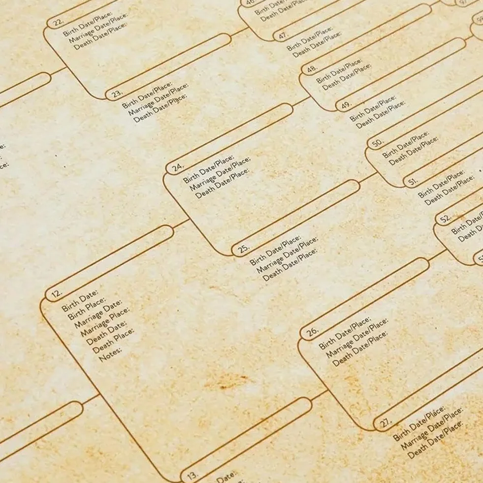 Tableau généalogique 8 générations à remplir vierge