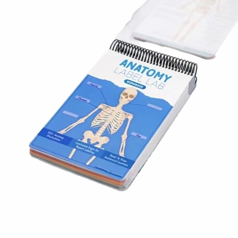 Cahier d'exercices de laboratoire d'anatomie - Anatomie humaine - Plus de 100 pages effaçables à sec, outils d'étude de physiologie