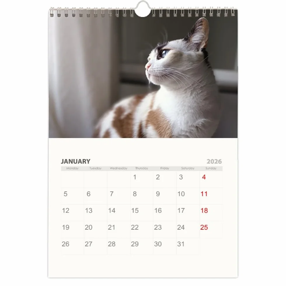 Calendrier 2026 Mural Personnalisé A3 Spirale Argenté avec Vos Photos