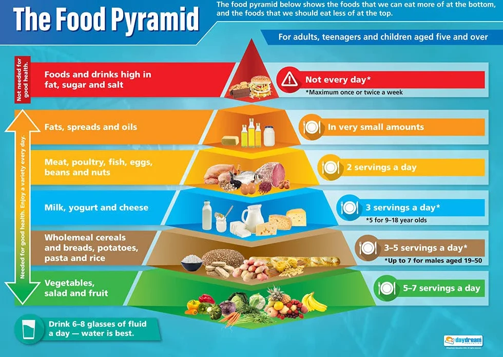Daydream Education Pyramide alimentaire Affiche scientifique Papier brillant 850 x 594 mm A1