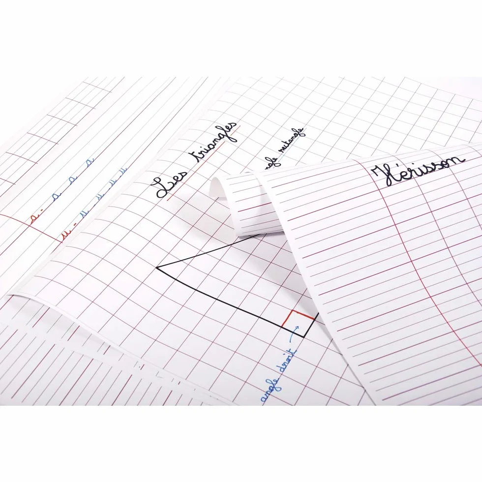 Clairefontaine Papier Affiche 60x80 cm 90g Réglure 25 Feuilles