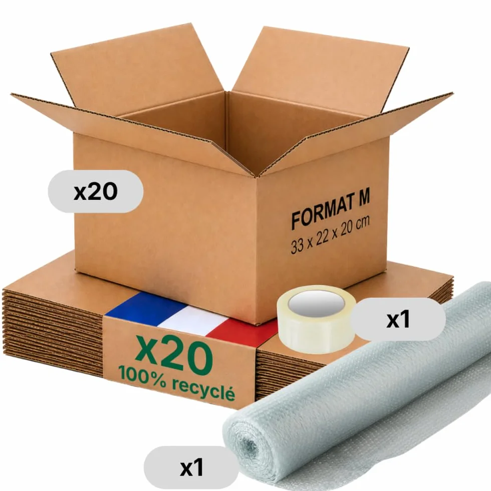 Caisse carton emballage renforcé 31 x 22 x 20 cm Lot de 20 Life Pack