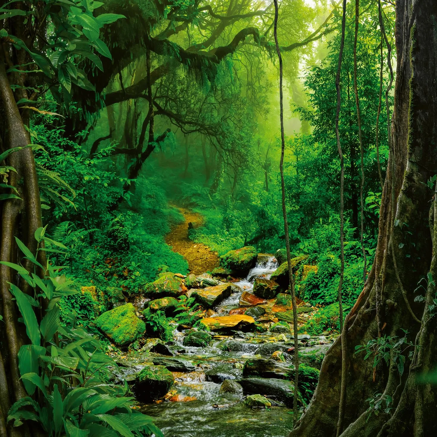 NOTIQUE Calendrier mural 2026 Forêt tropicale 30 x 30 cm 30 x 60 cm ouvert