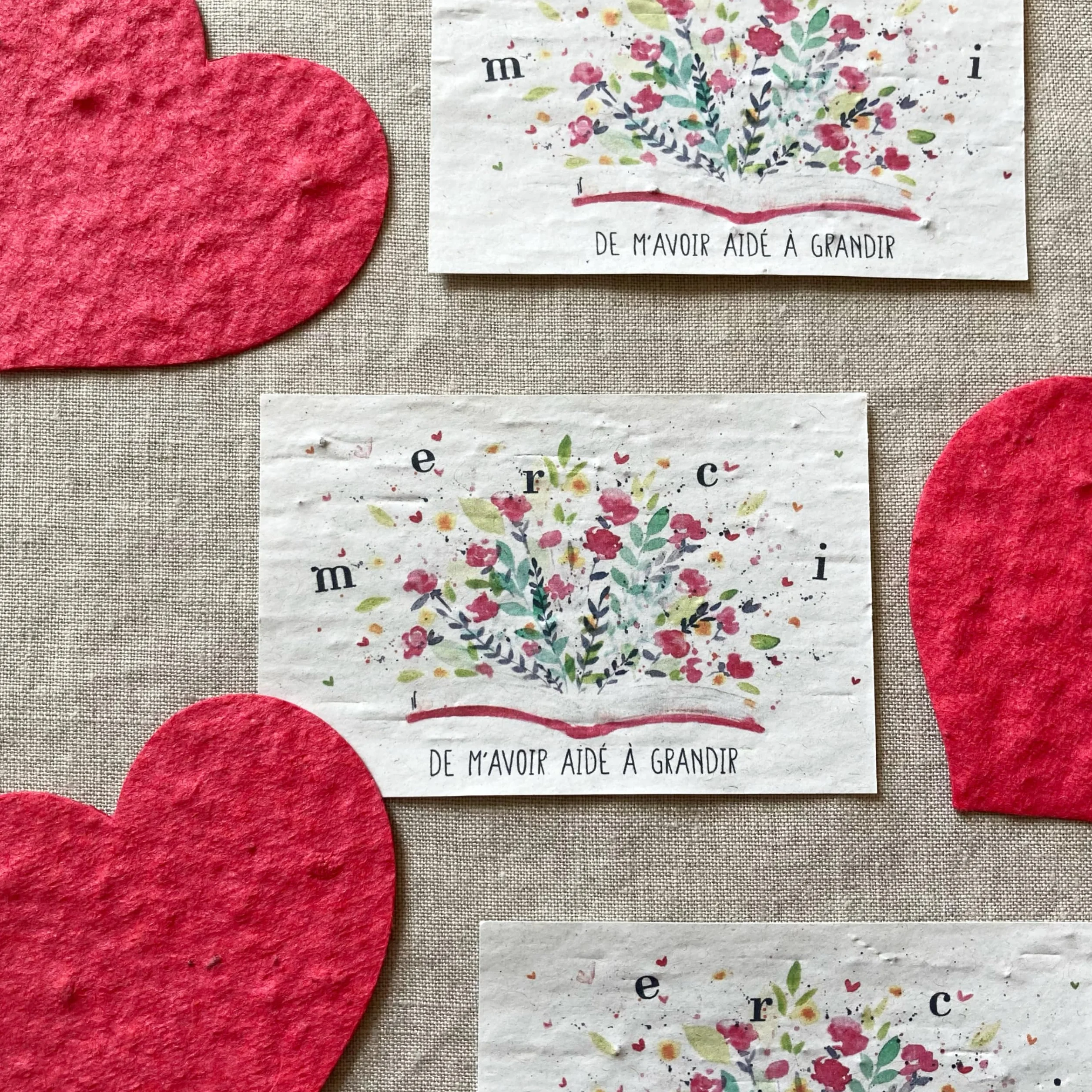 Lot de 10 mini cartes à planter Merci de m'avoir aidé a grandir