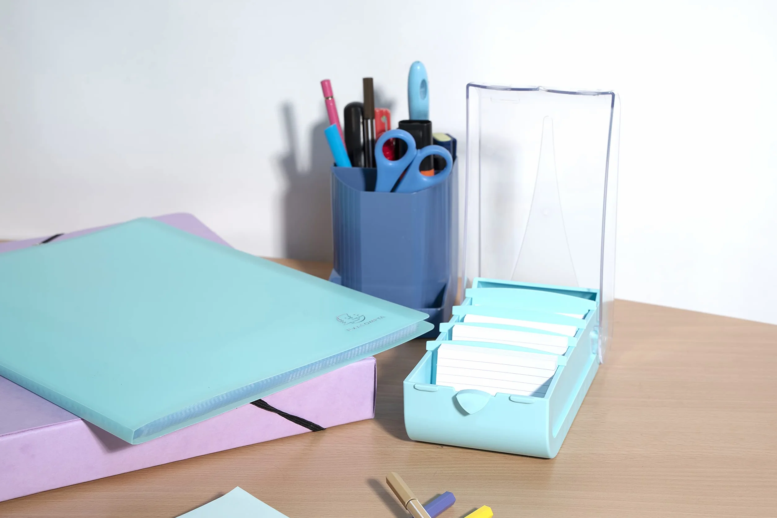 Exacompta BUNNYBOX A8 Learning box 19,5x10x6,2 cm vert pastel/cristal 650 cartes