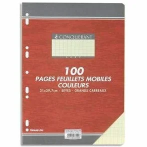 Feuillets mobiles 21x29,7 cm 100 pages grands carreaux jaunes 80g