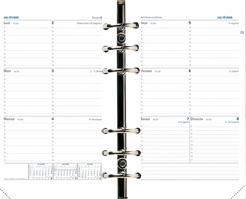 QUO VADIS Recharge Organiseur Timer 21 Grille Horizontale 16 mois Septembre 2026 Décembre 2027 Format 15 x 21 cm