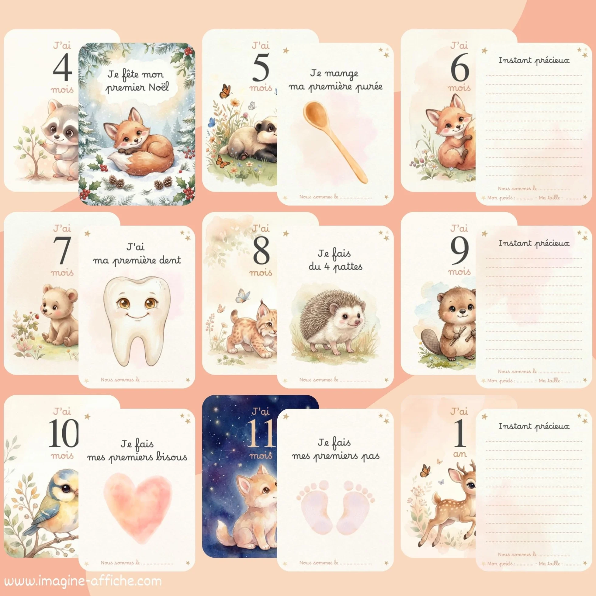 Cartes étapes bébé 0-12 mois Animaux de la forêt 15 cartes grand format 13x18 cm recto/verso Fabriqué en France