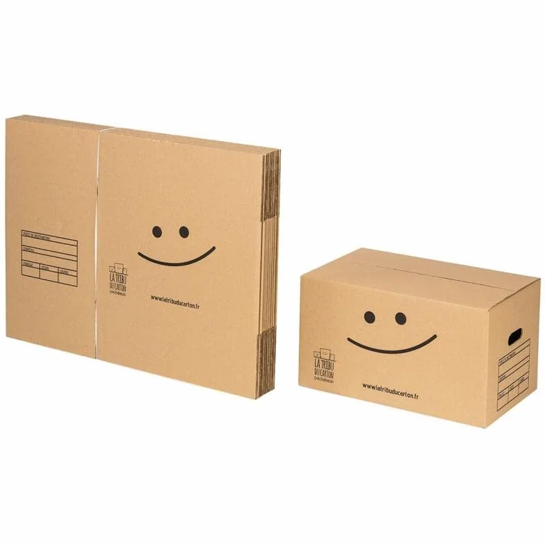 LA TRIBU DU CARTON Kit 10 cartons standard avec poignées